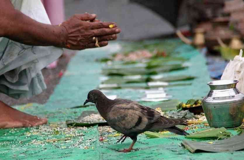 Pitra Dosh Puja